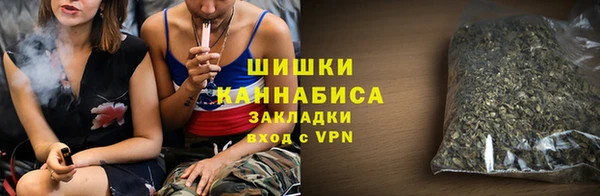амф Вяземский