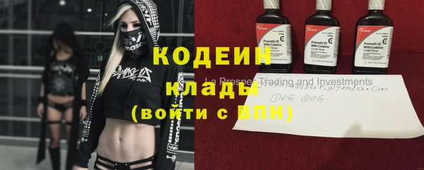 амф Вязьма