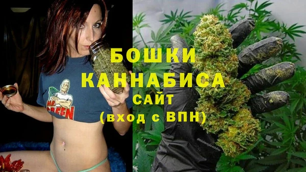 амф Вяземский