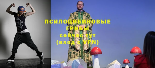 крисы Вязники