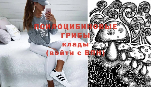 амф Вяземский