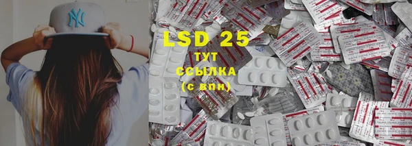 крисы Вязники