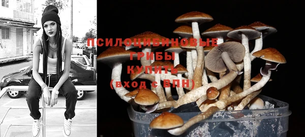 крисы Вязники