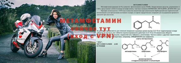 амф Вяземский