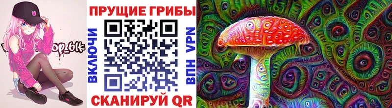 Купить закладки  Нижнекамск  Псилоцибиновые грибы мицелий 